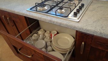 Apartamento, 1 quarto, vista parcial para o lago | Cozinha privada | Geladeira, fogão, cooktop, cafeteira/chaleira