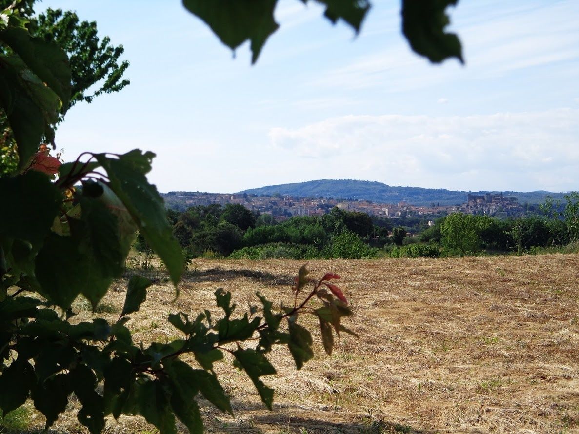 A dry field with a distant cityscape and hills.