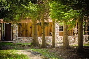 Eine rustikale Holzhütte mit Steinmauern und Holzverkleidung, umgeben von Bäumen und einem Steinweg.