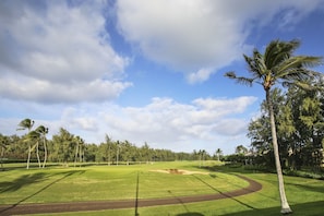 Een golfbaan met heldere lucht, palmbomen en een verzorgd gazon.