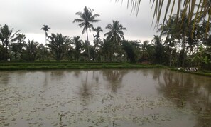 Property grounds - Farmstay Lunggu Hijau (Lombok timur)