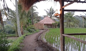 Property grounds - Farmstay Lunggu Hijau (Lombok timur)