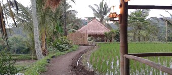 Farmstay Lunggu Hijau