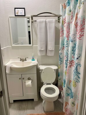 Suihkun ja ammeen yhdistelmä, hiustenkuivaaja, pyyhkeet, vessapaperi