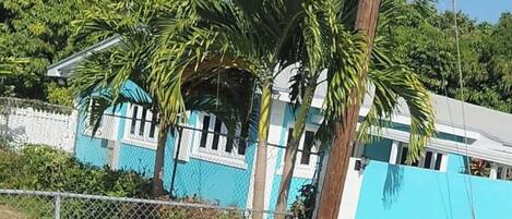 A residential building with a blue exterior, surrounded by a chain-link fence and palm trees.