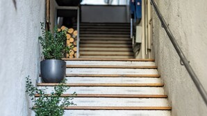 A narrow staircase with potted plants on the sides, leading to a higher floor. - Hotel Goldene Steig (Kempten)