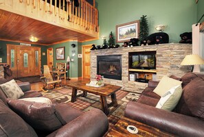 Fireplace, video games, DVD player