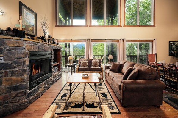 TV, fireplace, video games, Netflix