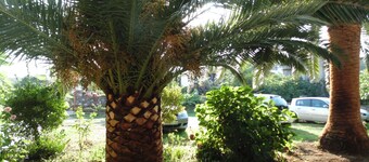 Klein appartement met balkon