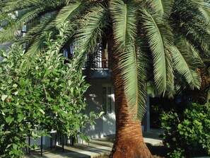 Àrea exterior de l'allotjament