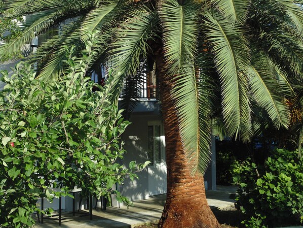 Área da propriedade