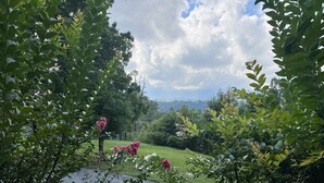 Un sendero en un jardín que conduce a una zona verde con árboles y vistas de colinas distantes.