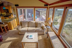 电视、壁炉、DVD 播放器、立体声音响