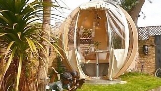 Una estructura esfèrica amb un sostre transparent, envoltada per una zona verda i una palmera.