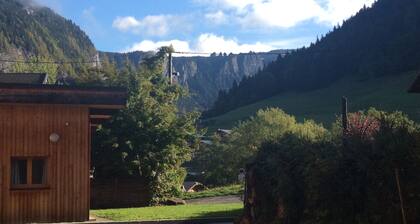 A delightful 2 bed ski in/out or biking ground floor apt. with own small garden