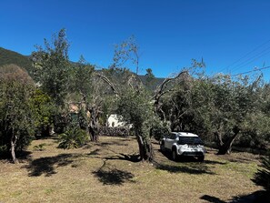 Property grounds - Villa Valia Seaside (Superior Beach Access-Private Estate Villa) (Ipsos)