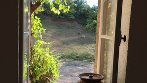 A window with a view of a grassy area and a large pot on the windowsill. - Beautiful Village House (Chérizet)