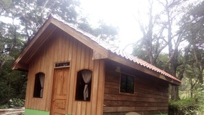 A small wooden cabin with a green base, two windows, and a door. - Monteverde romantic cabaña (Monteverde)