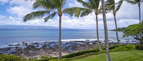 Una spiaggia nelle vicinanze