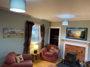 Smart-TV, Kamin
