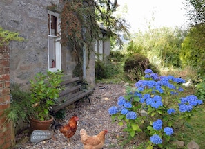 Jardines del alojamiento