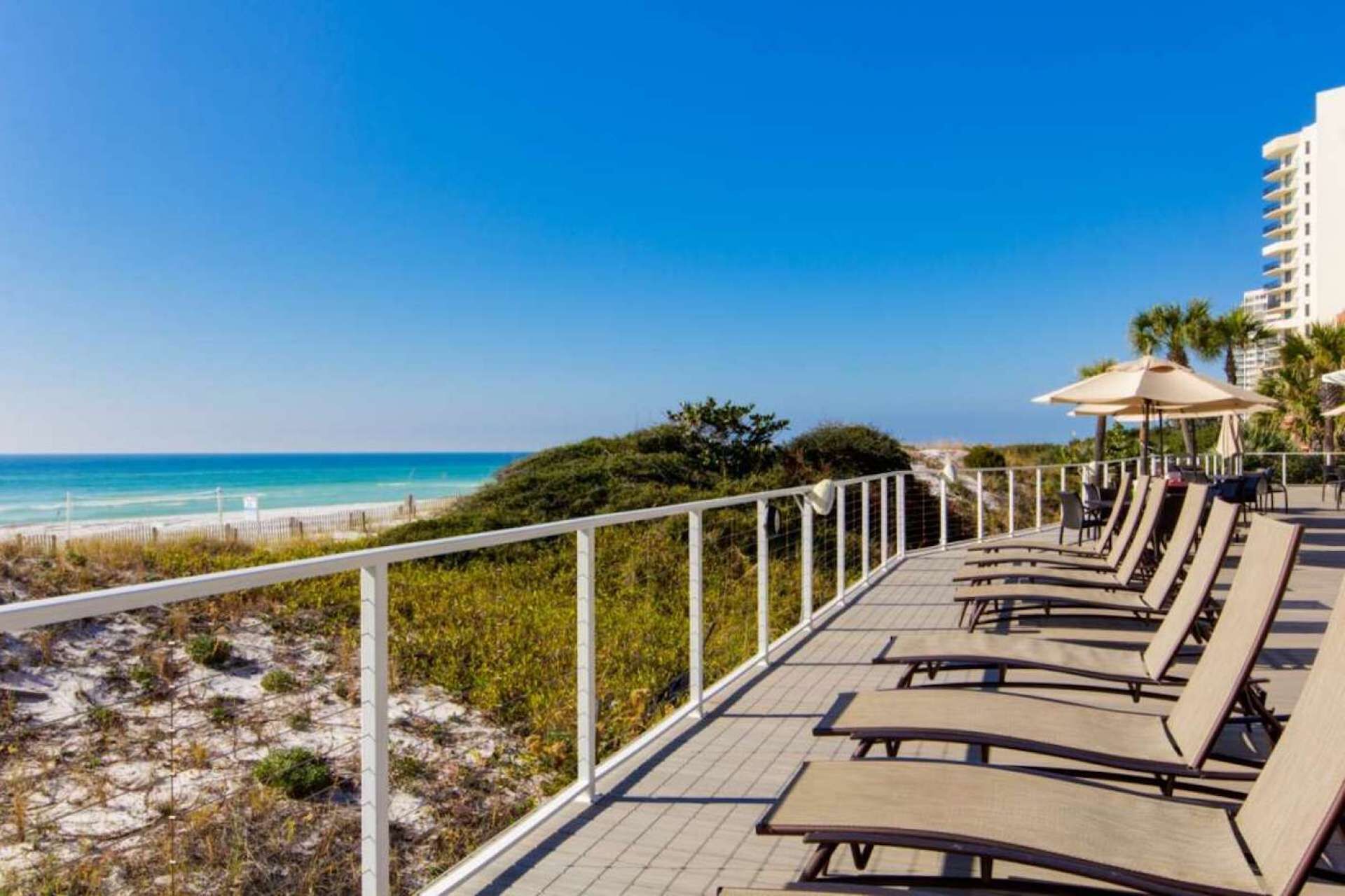 A beachside lounge with sun loungers and umbrellas, overlooking the ocean.