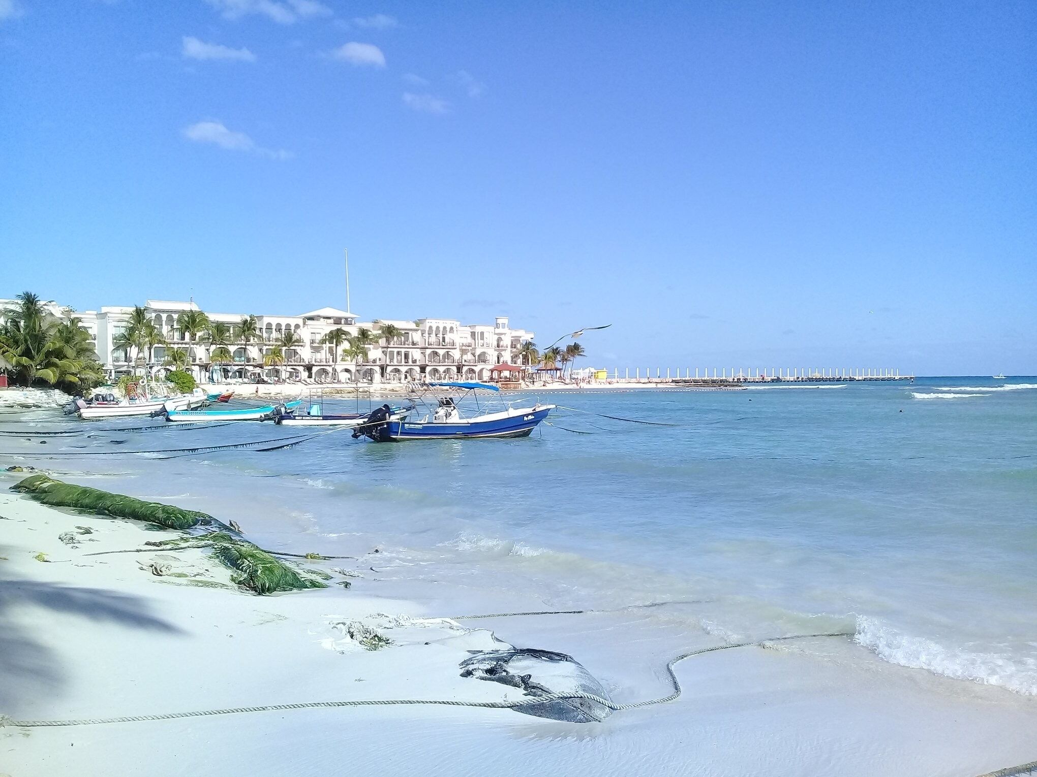 In Strandnähe, Strandtücher