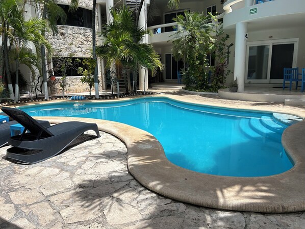 A swimming pool with lounge chairs, surrounded by palm trees and a stone wall.