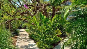 Un sentier bordé d’une végétation tropicale luxuriante et un panneau indiquant « Allée des orchidées ».
