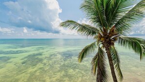 Une vue dégagée sur une plage aux eaux turquoise peu profondes, avec un palmier au premier plan.