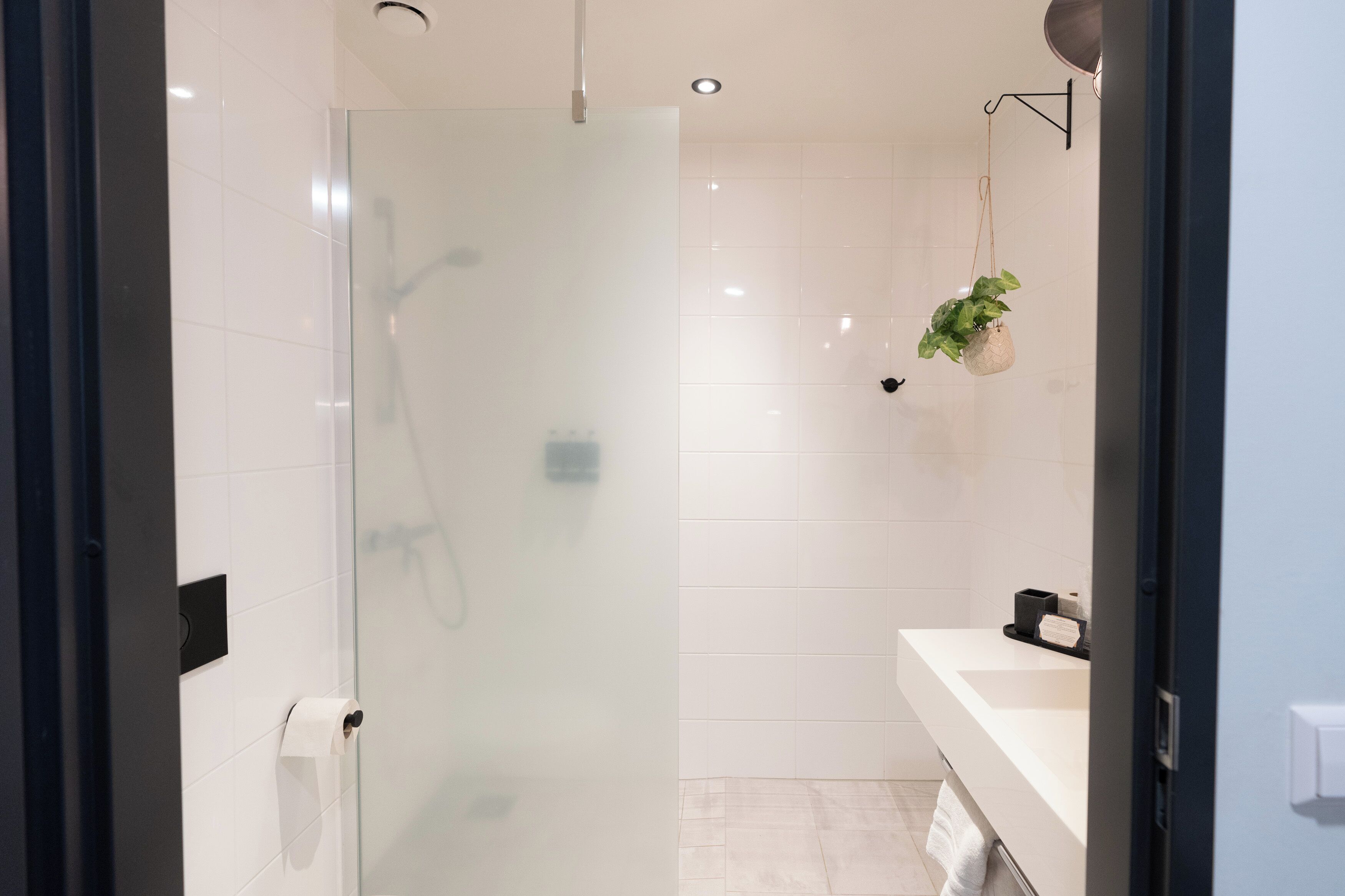 shower, free toiletries, hair dryer, towels