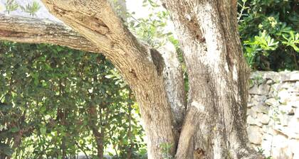 Villa FIG, Cosy Semidetached House@Vranjica-Trogir, Beach40m