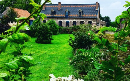 外观细节