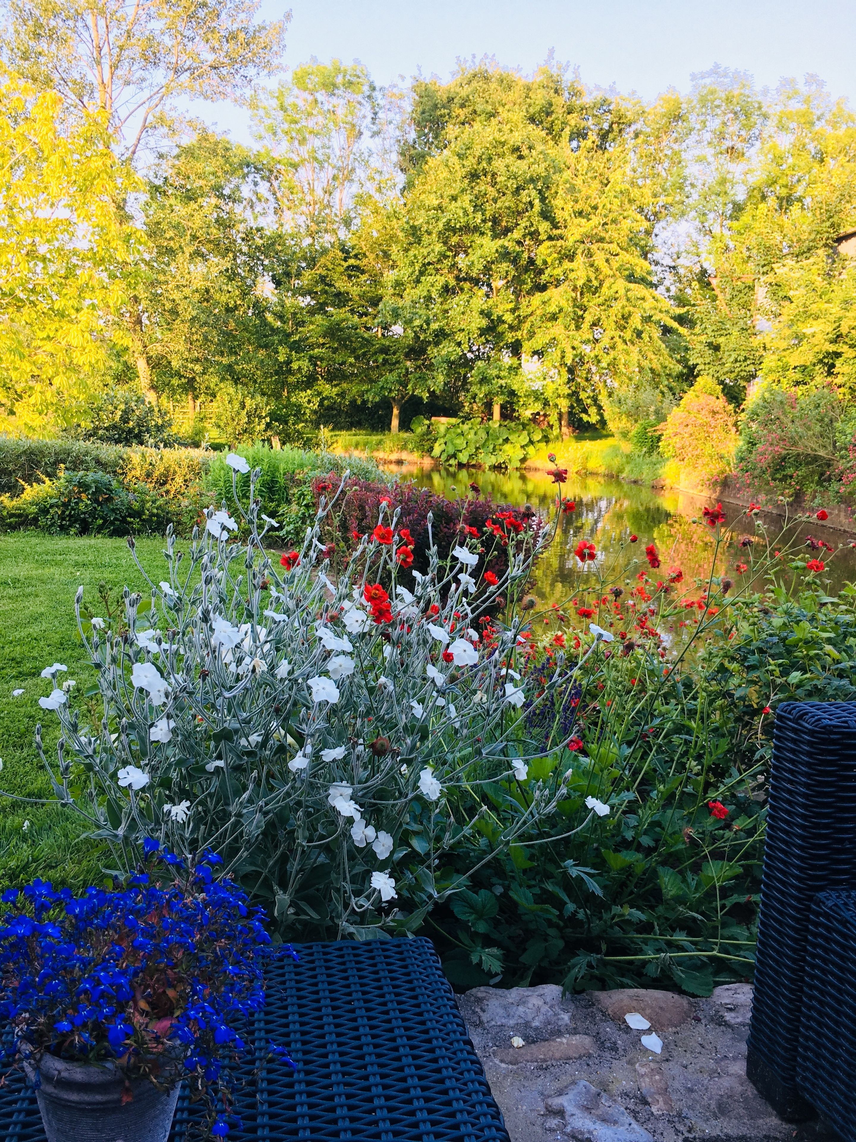 Un jardín con un estanque, diversas flores y árboles.