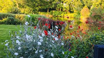 Un jardín con un estanque, diversas flores y árboles.