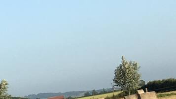 Paesaggio rurale con balle di fieno e un edificio in lontananza.