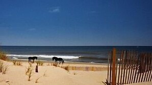 A beach with sand dunes and a wooden fence. - The Weathervane | 3BR Carova Beach 4x4 OBX | 4 night stay available | Pets (Carova)