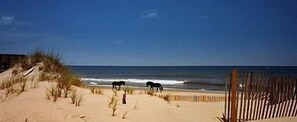 Beach - THE WEATHERVANE Private POOL! 3 night min, flexible check-in day, 4x4, pets (Carova)