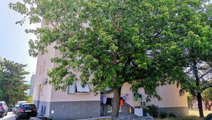 Un bâtiment avec un grand arbre devant, une voiture garée à proximité et un ciel dégagé.