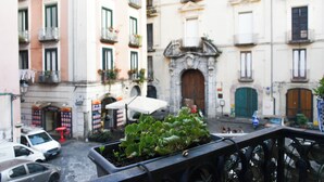 Eine schmale Straße mit Gebäuden an beiden Seiten, ein stehendes Auto und ein Blumentopf auf einem Balkon.