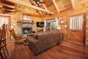 TV, fireplace, video games