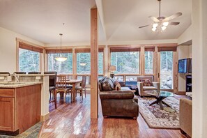 Flat-screen TV, fireplace