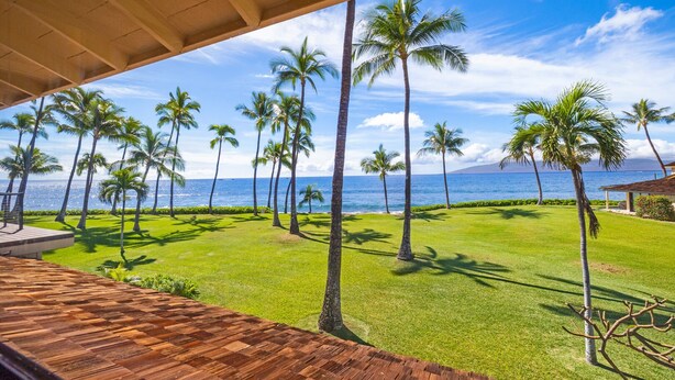 A view from a covered area overlooking a well-maintained lawn with tall palm trees and a clear view of the ocean. - Brand New Kitchen & Updated Living Space - Oceanfront #216-2 (Lahaina)