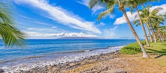 Brand New Kitchen & Updated Living Space - Oceanfront #216-2