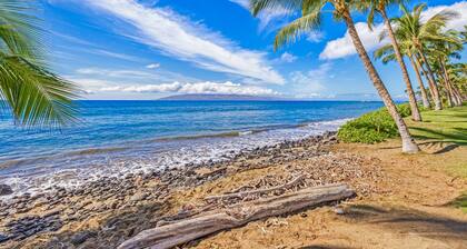 Brand New Kitchen & Updated Living Space - Oceanfront #216-2
