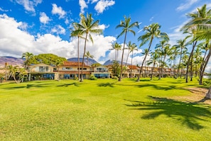 A resort with multiple buildings, a well-maintained lawn, and palm trees.