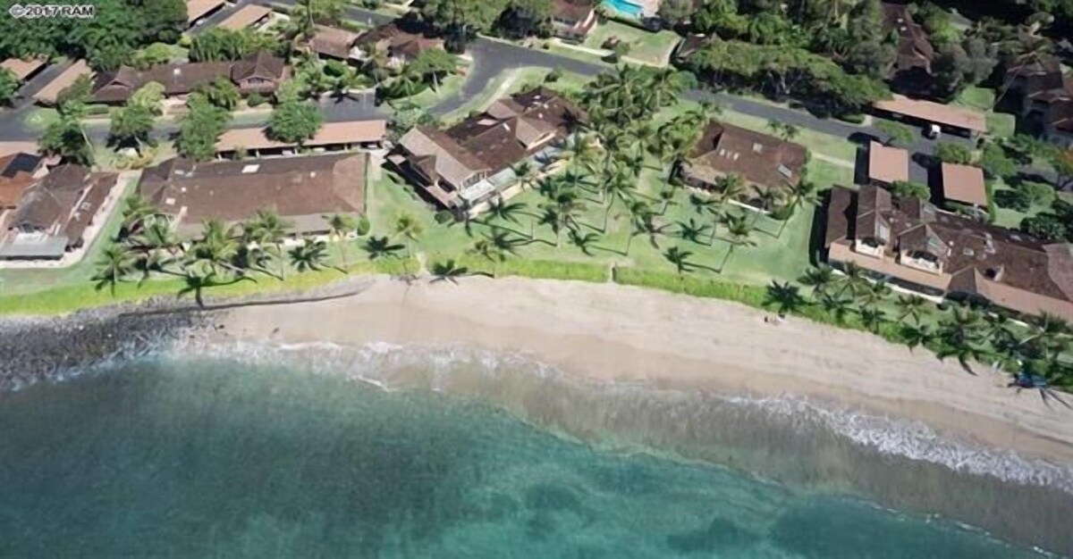 Imagen de perfil del propietario o de la propietaria