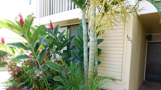 A building with a number '121' on the side, surrounded by lush tropical plants. - Turtle Bay Guava.Price Drop September start at $200 nightly. (Kahuku)