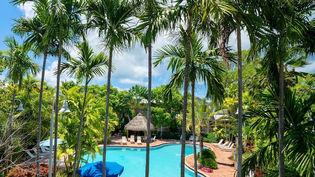A swimming pool surrounded by palm trees and lounge chairs. - Coral Hammock Poolside Home 3 bdrm 3 bath10 minute drive to Old Town Key West (Key West)
