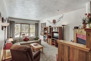 Kamin, DVD-Player, Stereoanlage